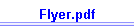 Flyer.pdf